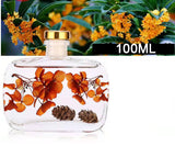 100ml Indoor Aromatherapy Air Fresher Essential Oil Flameless Aromatherapy Perfume Home Living Desktop Decoration Furnishing