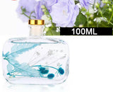 100ml Indoor Aromatherapy Air Fresher Essential Oil Flameless Aromatherapy Perfume Home Living Desktop Decoration Furnishing